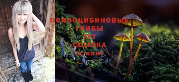 таблы Алексин