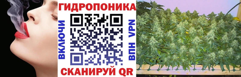 Конопля индика блэк спрут онион Печоры